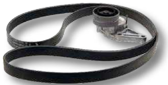 INA Kit curele - cu pneumatice si instalatie clima si intinzator curea mecanic