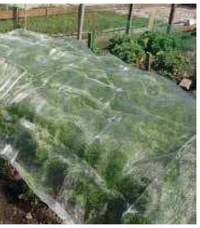 Plasa pentru insecte