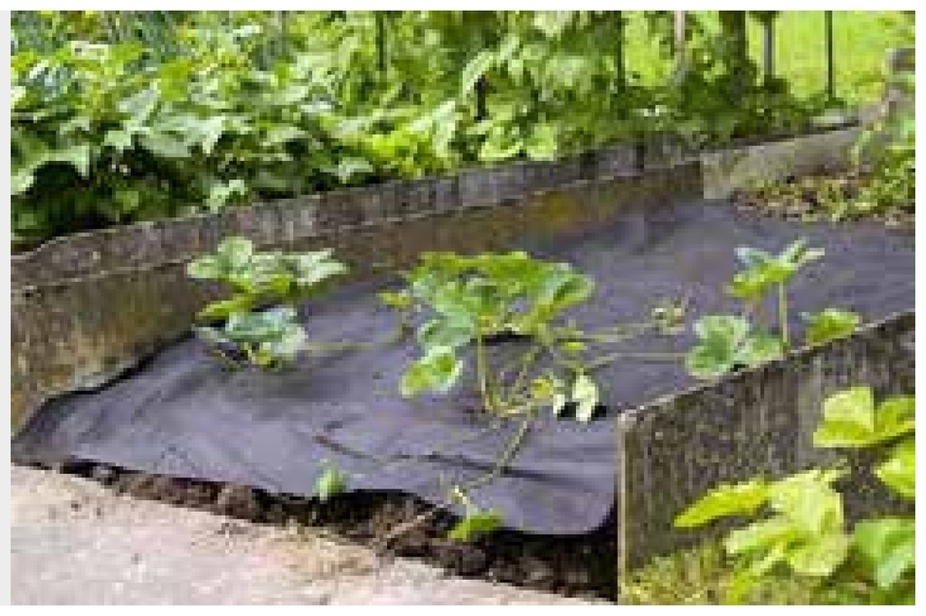 Material de protectie pentru rasadnite