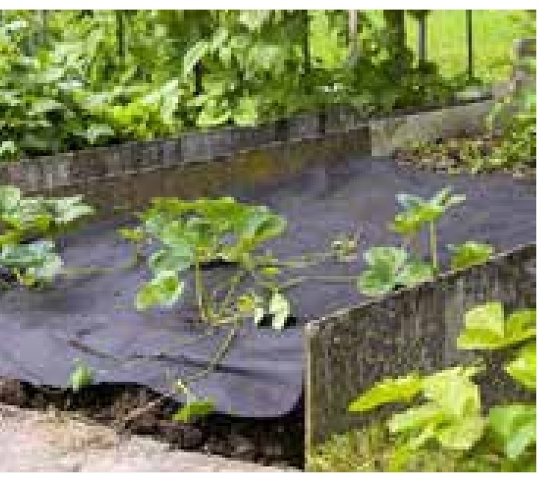 Plasa protectoare rasaduri