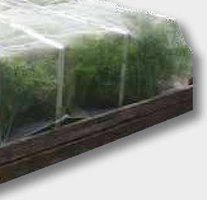 Plasa de insecte