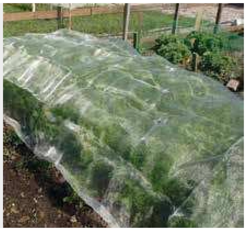 Plasa anti-insecte pentru usi antracit