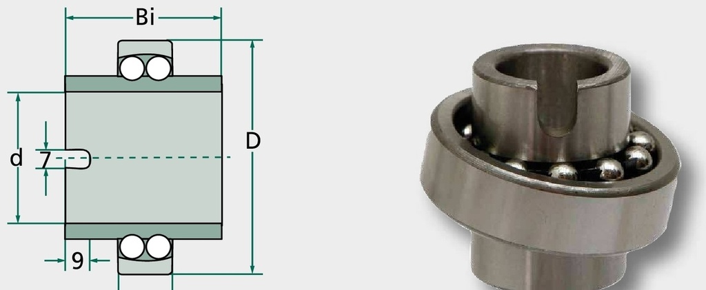 Rulment cu bile cu auto-aliniere 11205 25 mm
