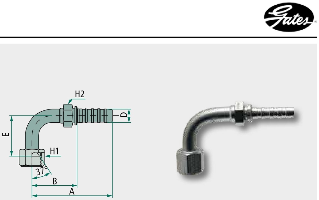 Gates PNB 32 DKJ 1 5/8" 90°M DN 32 - 1 1/4"