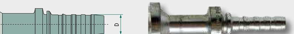 Gates PNB 12 SFS 1/2" DN 12 - 1/2"