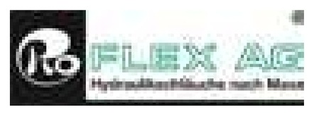 O-ring 3/4″ DN20-BG4 4