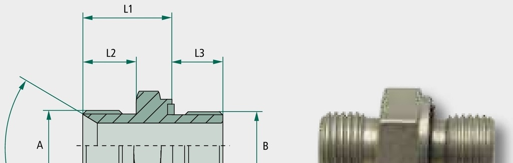 GA 5/8 M-BSP x 1/2 M-BSP WD - Adaptoare drepte