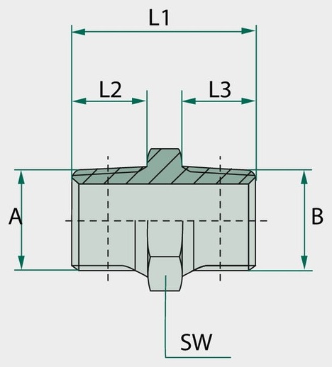 GA 1/2 M-BSPK x 3/4 M-BSPK - Adaptoare drepte