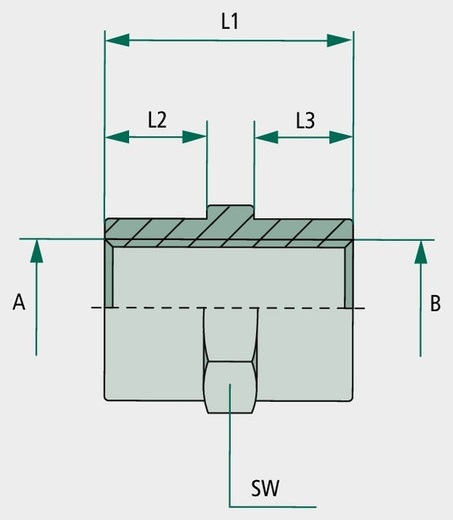 GA 3/8 F-BSP x 1/2 F-BSP - Adaptoare drepte