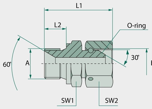 GA 1/2 M-BSP x 1/2 FS-BSP - Adaptoare drepte