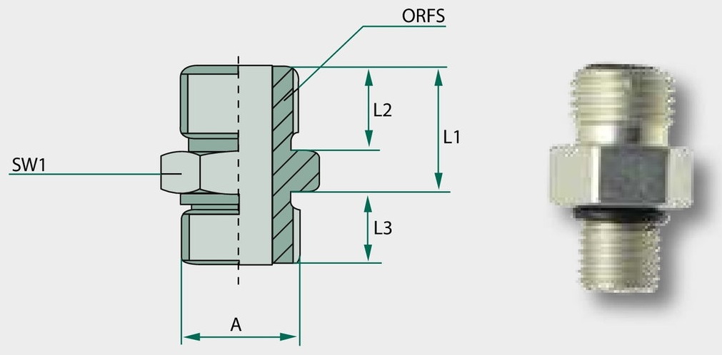 GA 1 7/16 M-ORFS x 1 M-BSP-WD - Adaptoare drepte