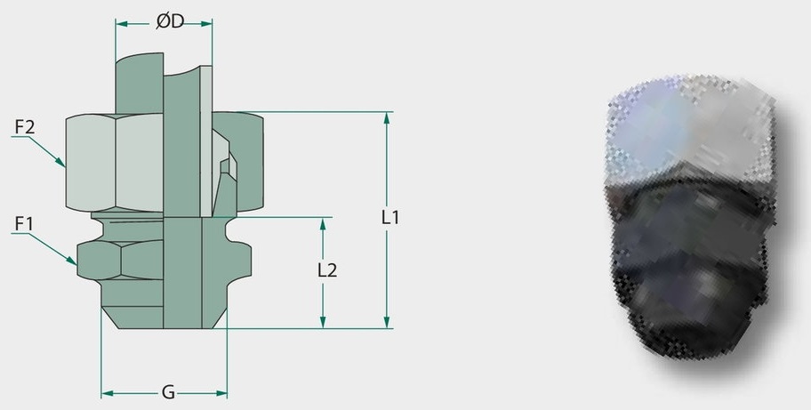STAUFF X-ASV 38 S - Racord filetat drept, alipire prin sudura