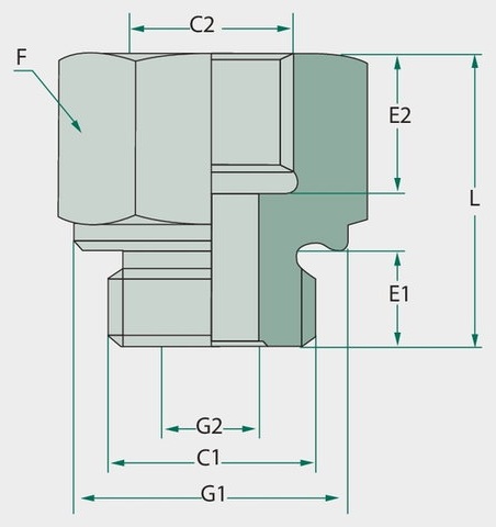 GA 1/2 M x 1 F-BSP L=49 - Adaptoare drepte
