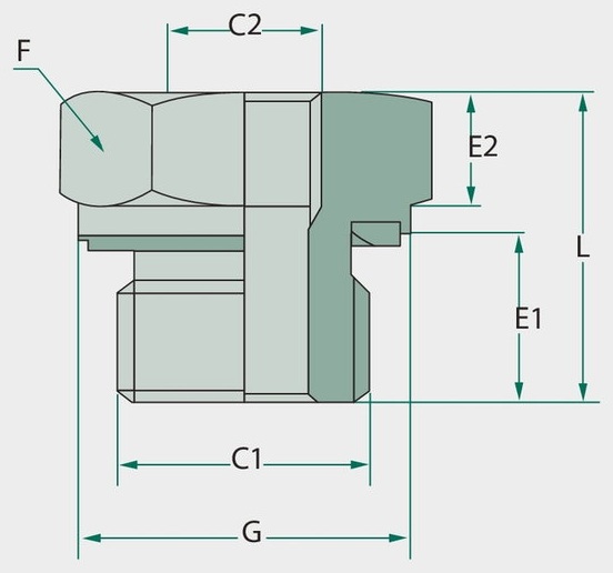 GA 1.1/2 M-WD x 1/2 F-BSP L=36 - Adaptoare drepte