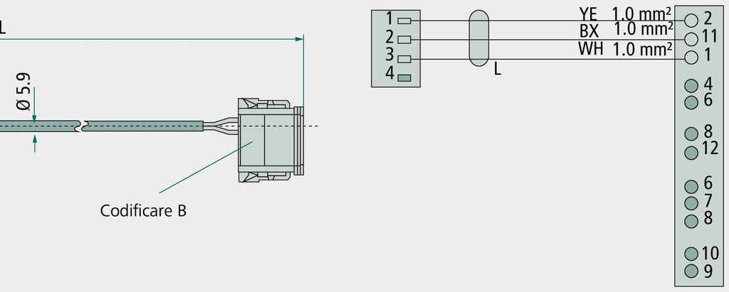 KNORR Bremse Cablu In-Out L1 = semnal viteza - Speed Pulse/RtR oder Liftachssteuerung (AUXIO 1) L2 = pentru alimentare l