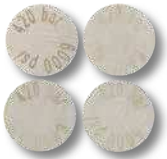 Parker Disc protectie plesnire, 420 bar SCLV-PTQ