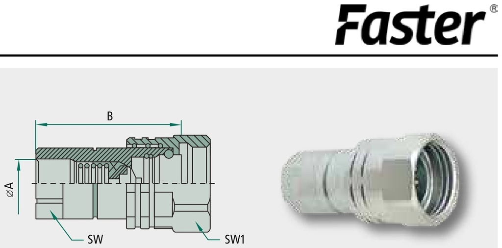Faster Mufa filetanta IG 3/4" NPT 4