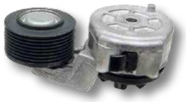 Dayco Rolă de ghidaj 65 mm
