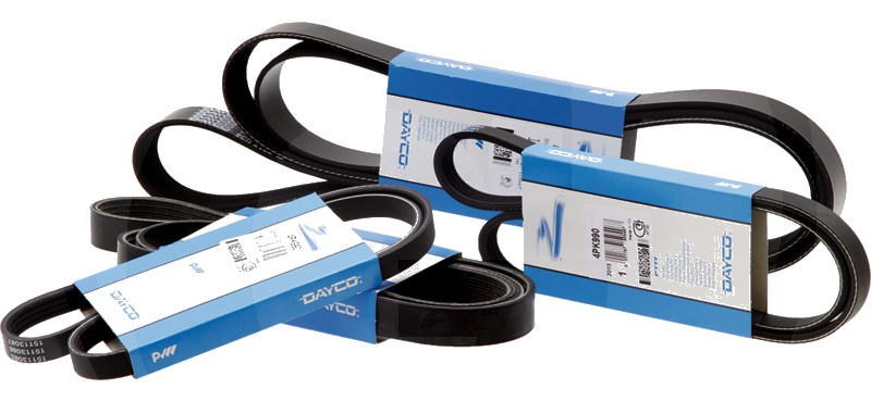 Dayco Curea cu nervuri trapezoidale 1448 mm