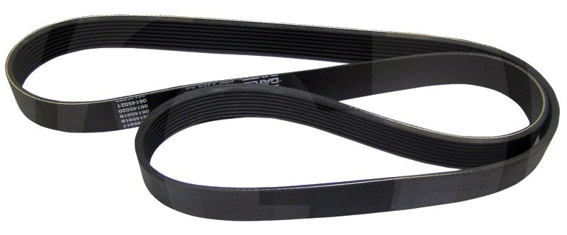 Dayco Curea cu nervuri trapezoidale 1920 mm