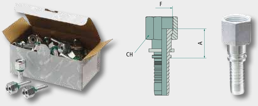 PN 16 DKORFS 1,3/16 - Dry Fit