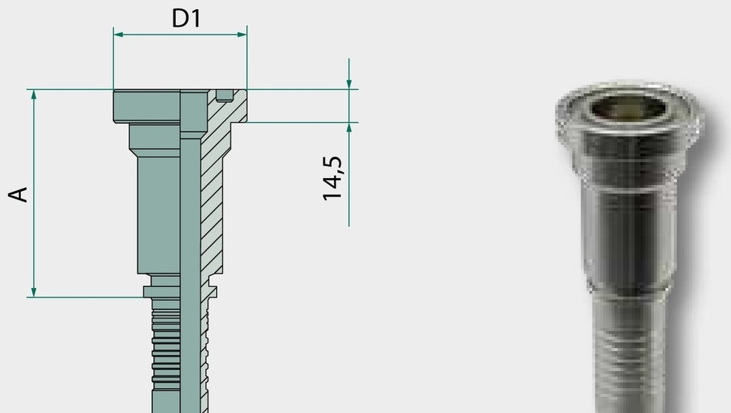 PN 25 SFS-CAT 1" - Dry Fit