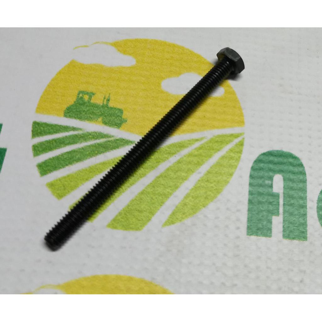 Surub cap hexagonal  M6x80mm