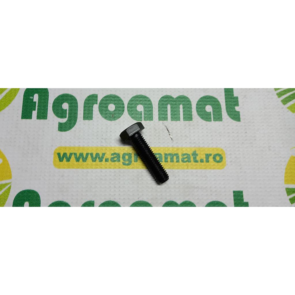 Surub hexagonal  M10x60mm