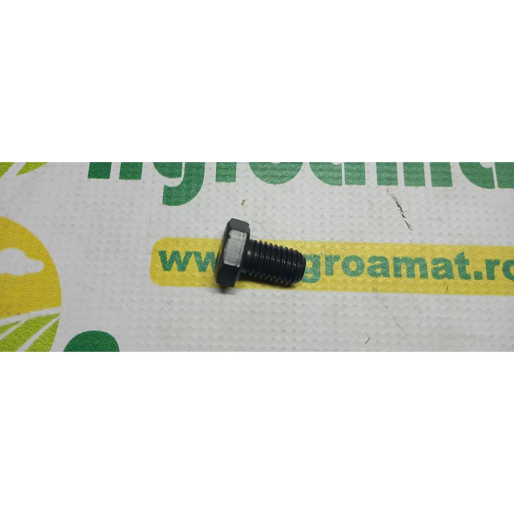 Surub Cap Hexagonal M12x25mm