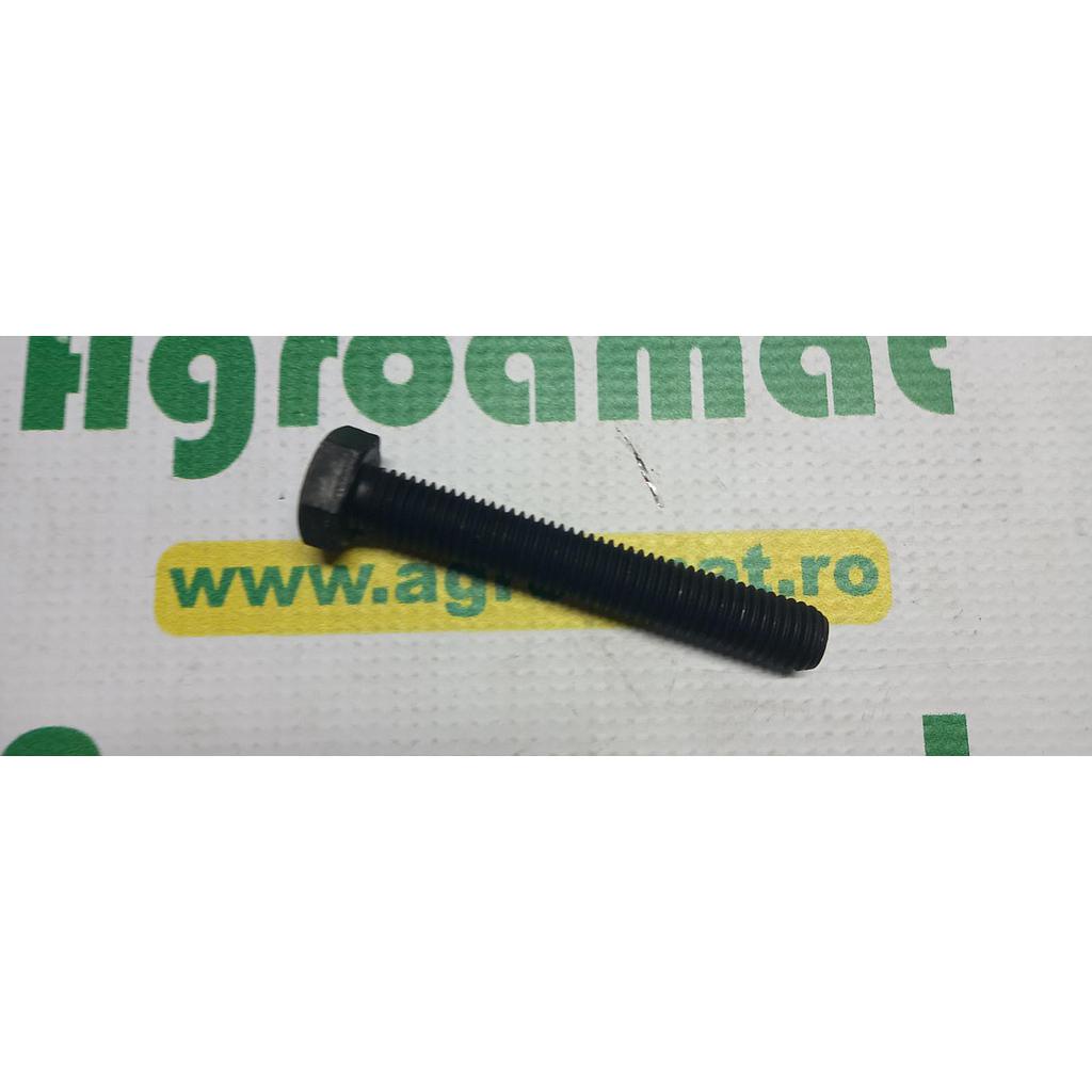 Surub Cap Hexagonal M12x100mm