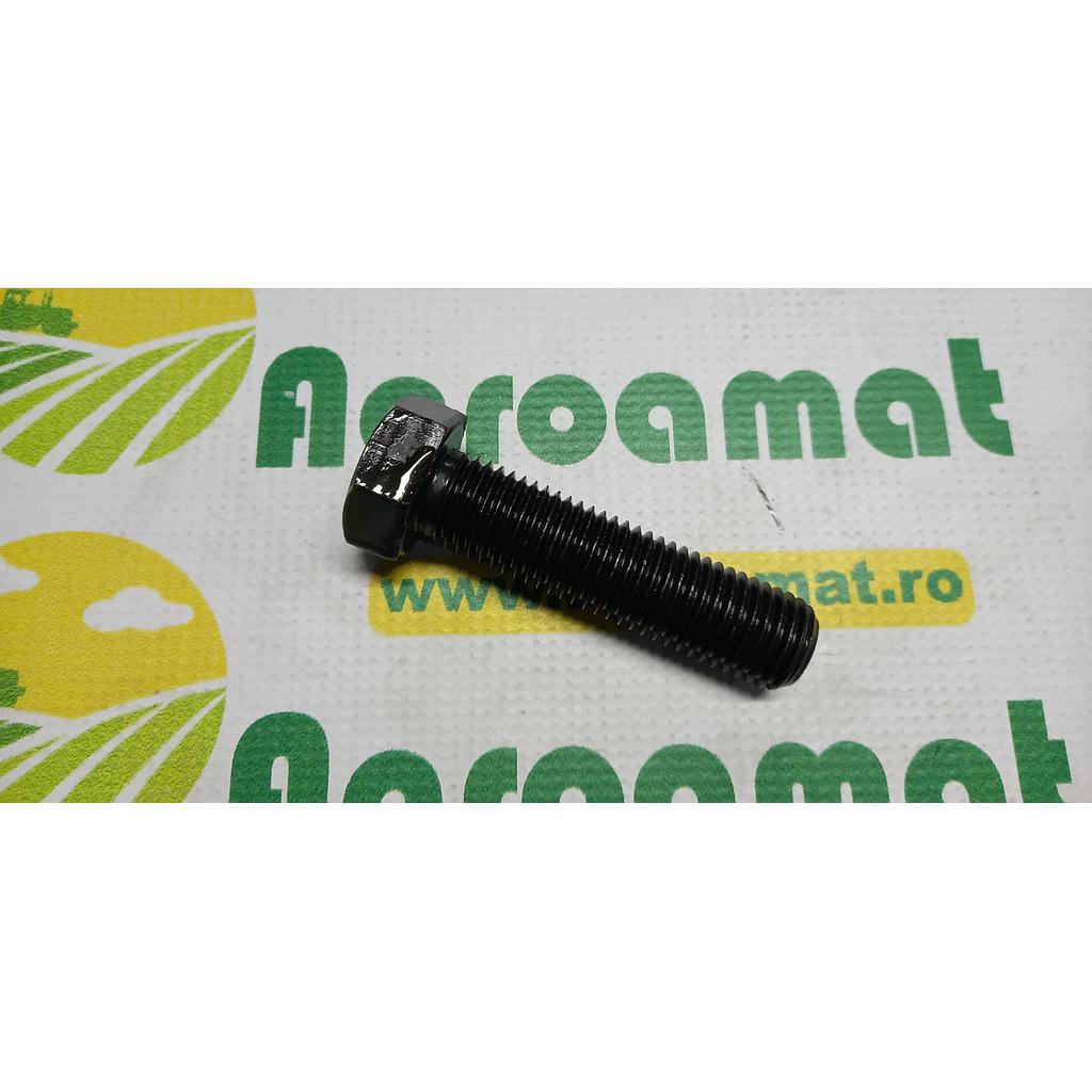 Surub hexagonal  M20x40mm