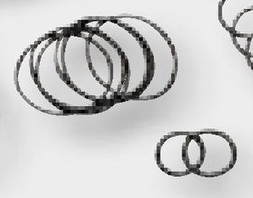 Annovi Reverberi Set membrane BNR - membrana individuala 6701040081