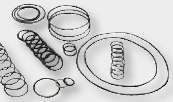 Annovi Reverberi Set membrane BNR - membrana individuala 6701040081