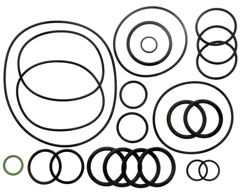 Annovi Reverberi Set o-ringuri