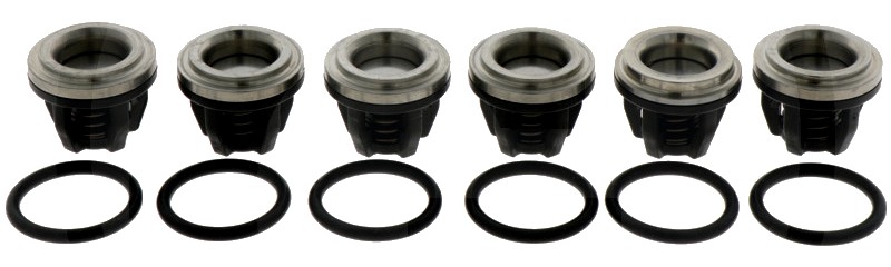 Annovi Reverberi Set supape - O-ring 670680070 Supapa 670759054