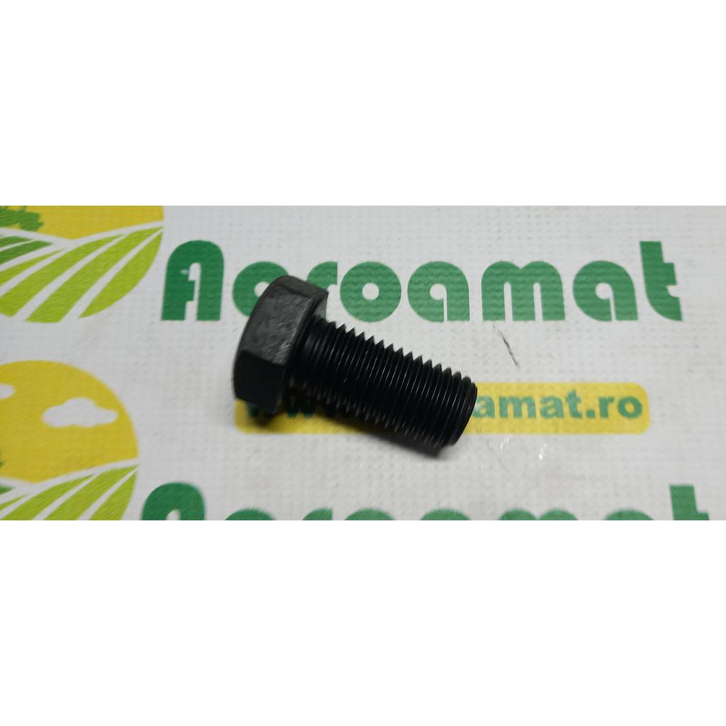 Surub cap hexagonal  M24x65mm