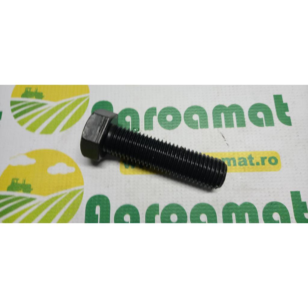 Surub Cap Hexagonal  M24x90mm