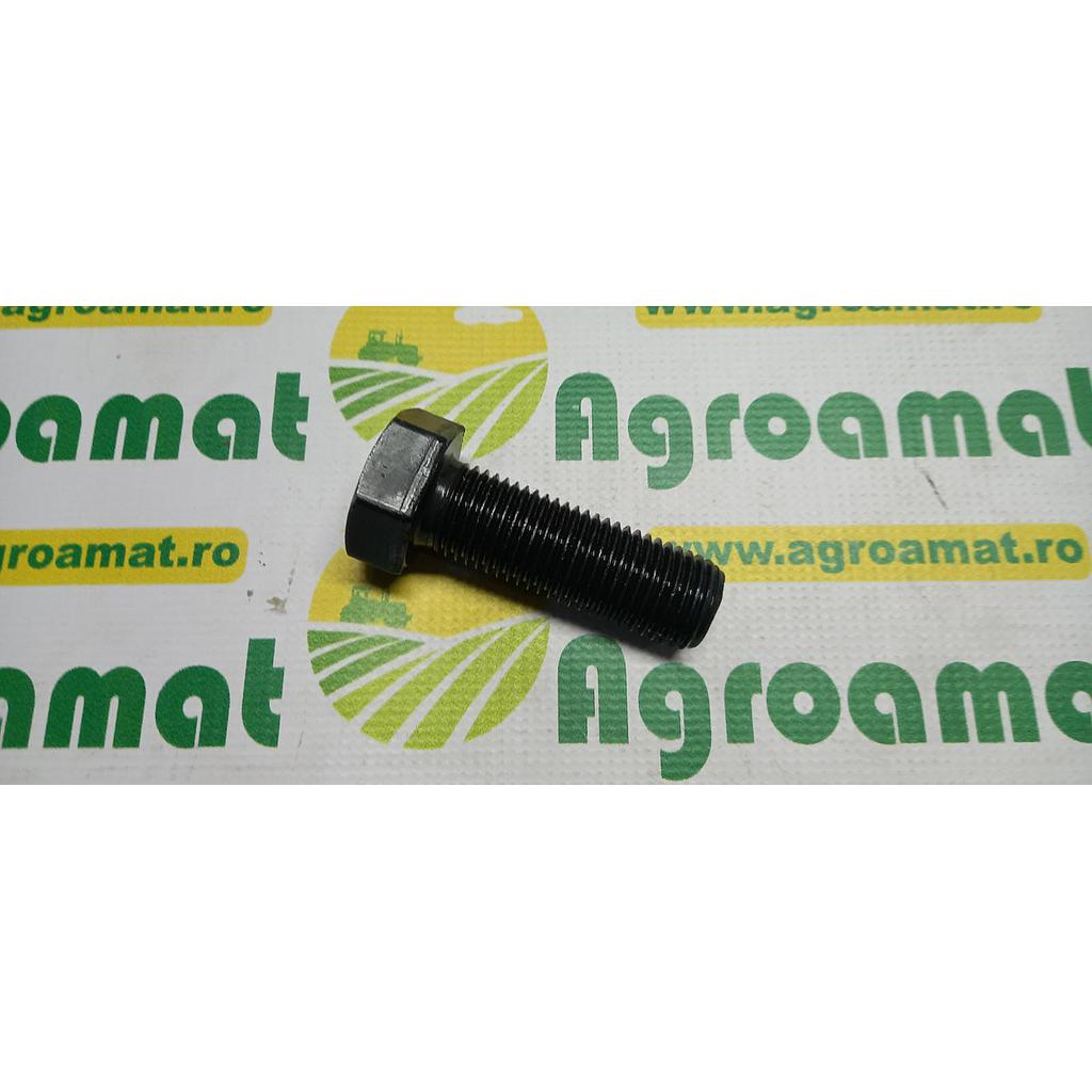 Surub hexagonal  M27x60mm