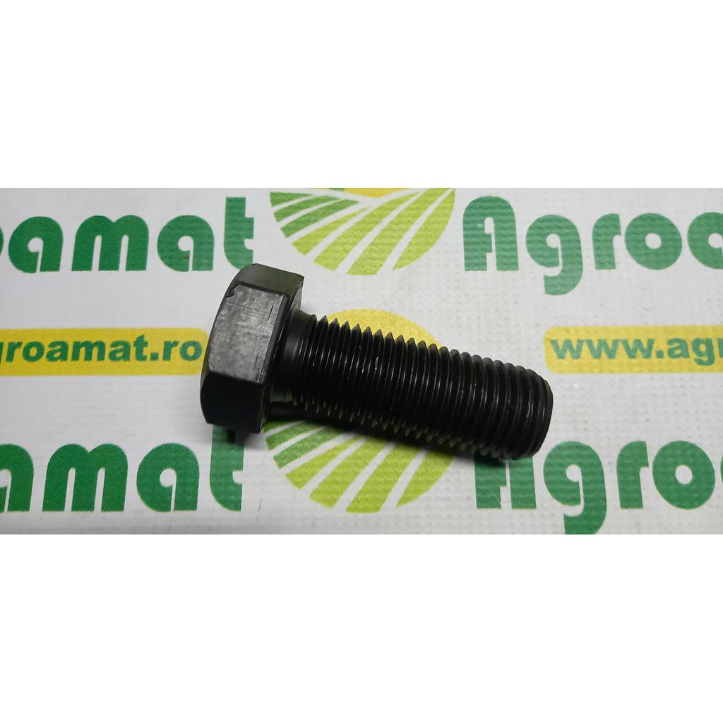 Surub hexagonal  M36x70mm