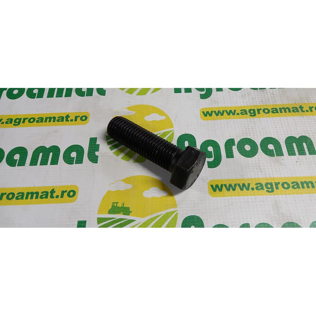 Surub Cap Hexagonal M24x80mm