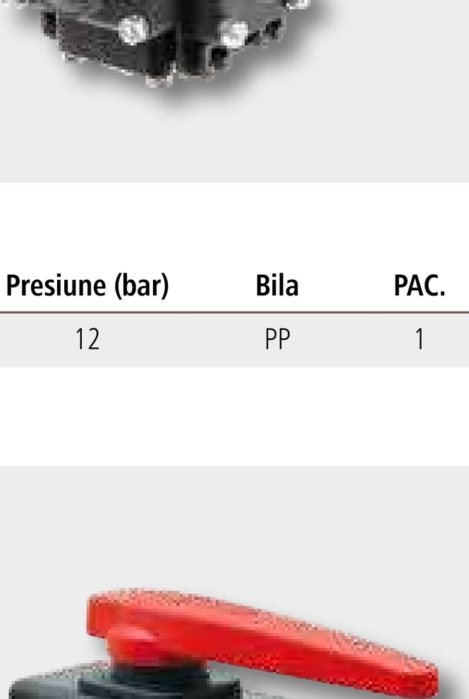 ARAG Robinet cu bila in 5 cai 6 bar