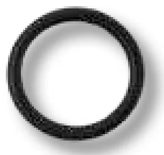 ARAG O-Ring