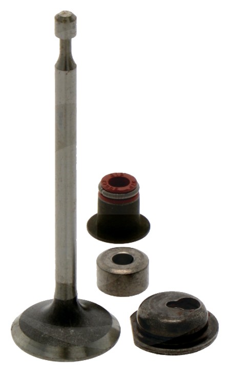 Briggs & Stratton Supapa de admisie