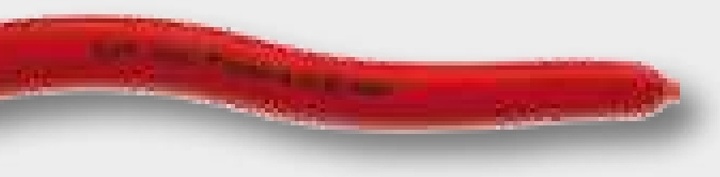 KNIPEX CoBolt® - Zange schwarz atramentiert, Griffe mit Kunststoff überzogen, 160 mm