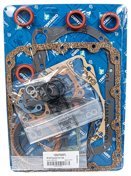Seria de garnituri pentru motor SLANZI DVA 1030 11193