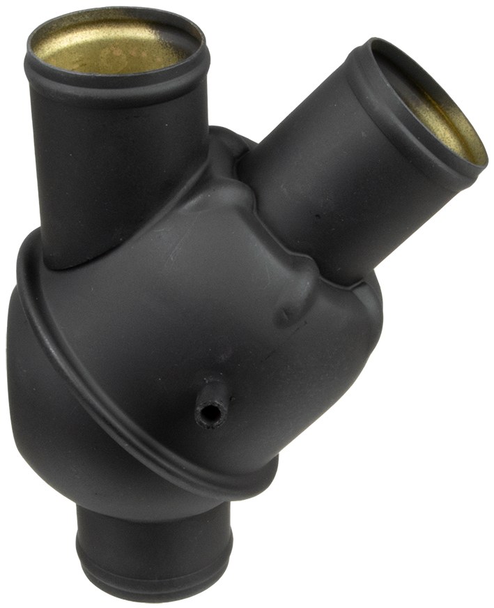 TERMOSTAT 12169
