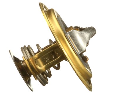 TERMOSTAT 12170