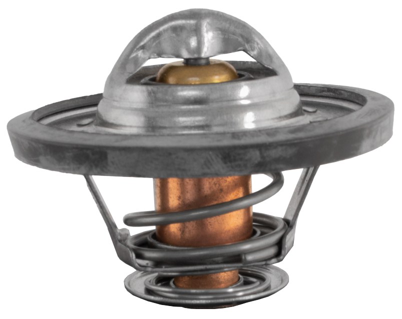 TERMOSTAT 12171