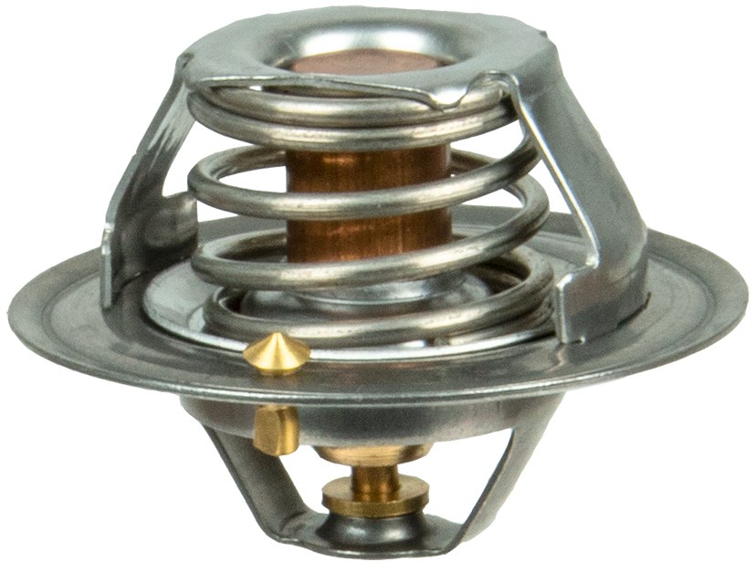 TERMOSTAT 12173