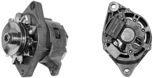 Date alternator 14 V - 33 A 12356